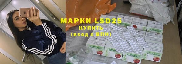 гидра Горнозаводск