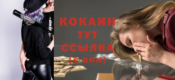 гидра Горнозаводск