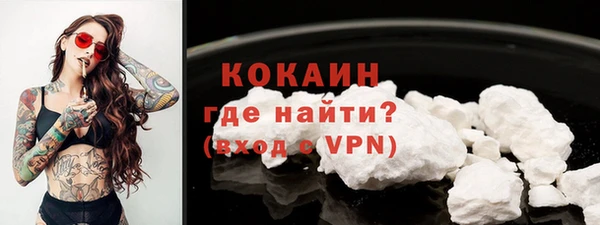 гидра Горнозаводск