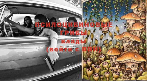гидра Горнозаводск