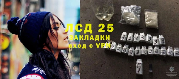 гидра Горнозаводск