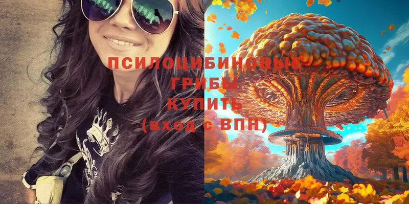 Псилоцибиновые грибы Psilocybe  Давлеканово 